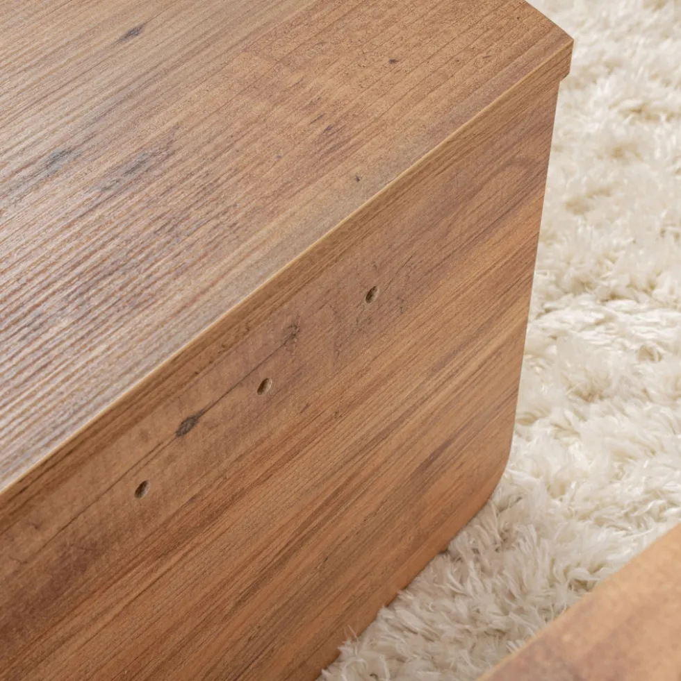 ASYA Lot de 2 tables basses en bois