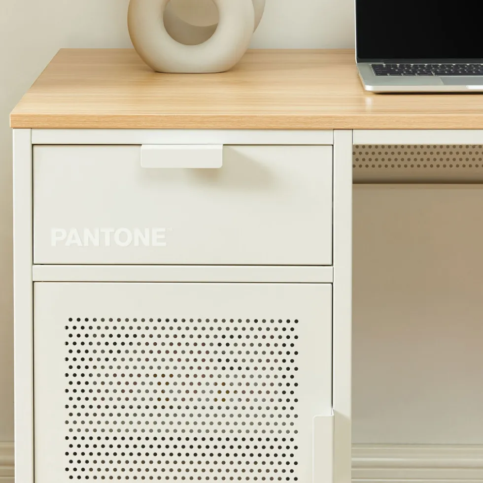 NINO Bureau 1 porte 1 tiroir en métal PANTONE L120cm