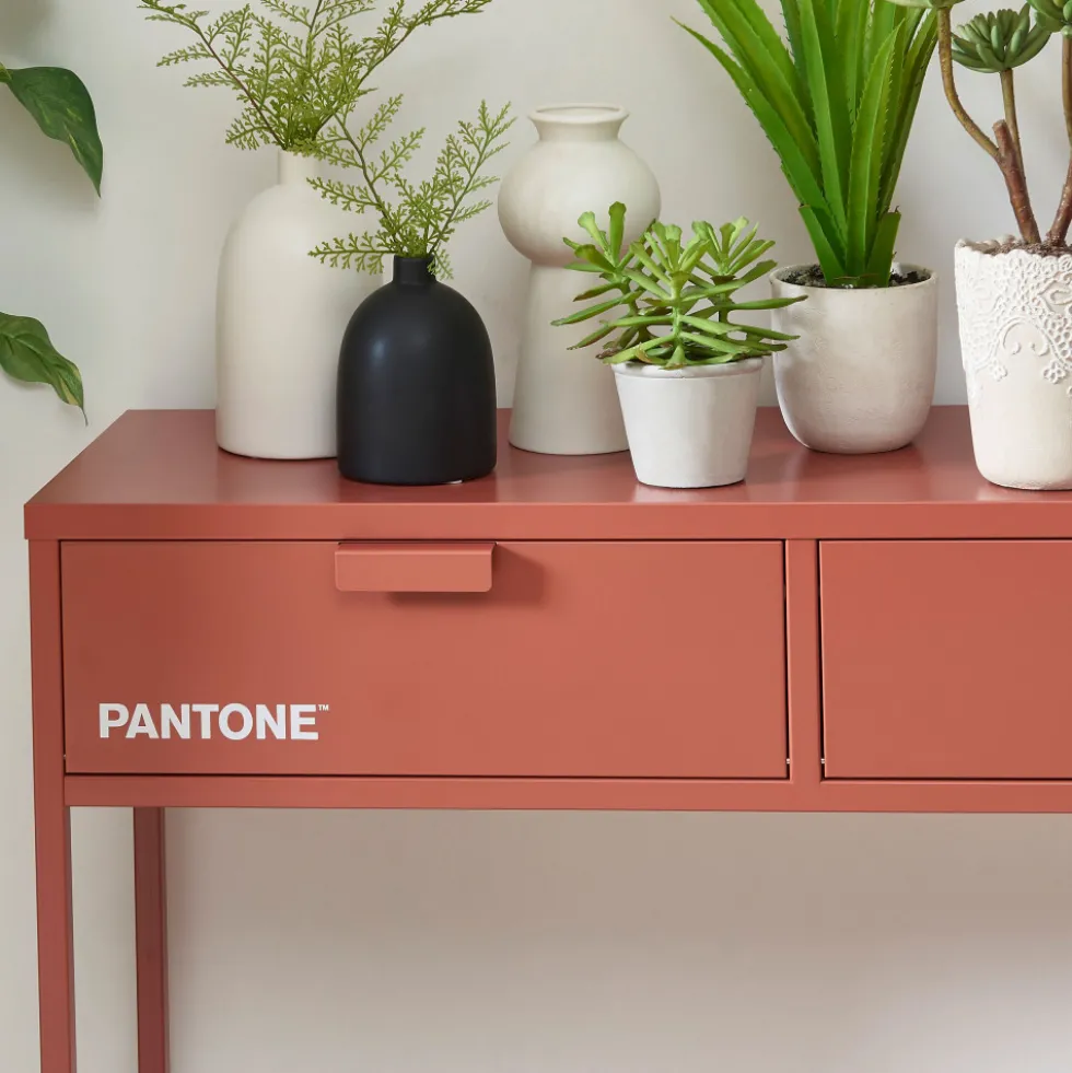 NINO Console 2 tiroirs en métal PANTONE L100cm