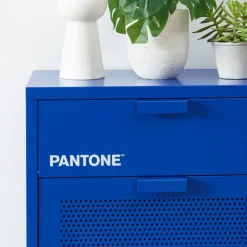 NINO Meuble à chaussures 2 portes 1 tiroir en métal PANTONE L55cm