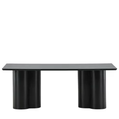 OLIVIA Table basse en bois 120x60cm