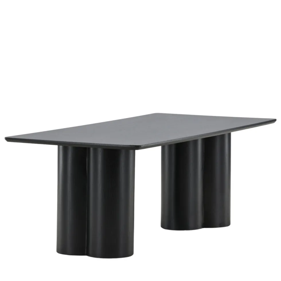 OLIVIA Table basse en bois 120x60cm