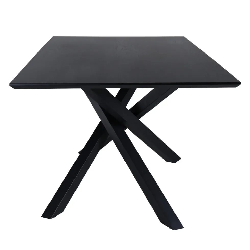 PIAZZA Table à manger 8 personnes en bois et métal