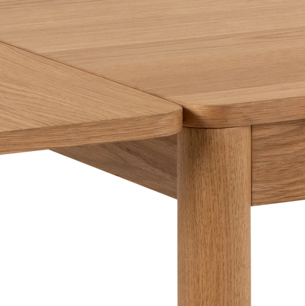 SAVACOU Lot de 2 rallonges en bois 50x100cm
