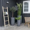 TEAK LADDER Echelle décorative en bois H150cm
